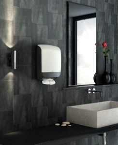 איך לשדרג כל חדר אמבטיה ושירותים?